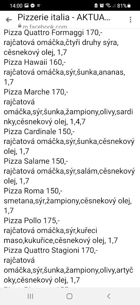 Menu_Pizzerie Italia_Velké Bílovice_image_3