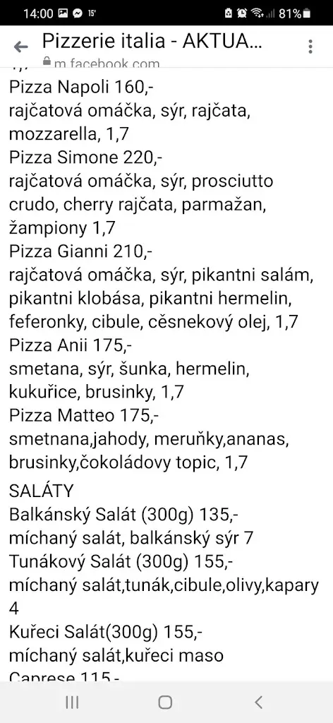 Menu_Pizzerie Italia_Velké Bílovice_image_4