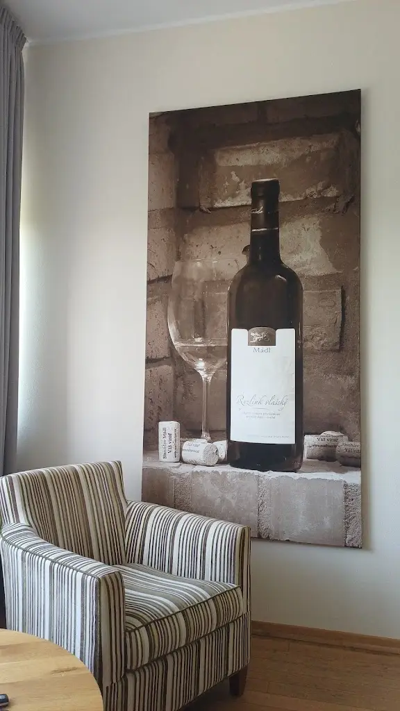 Slawko G_Hotel Madl_Velké Bílovice_recensione