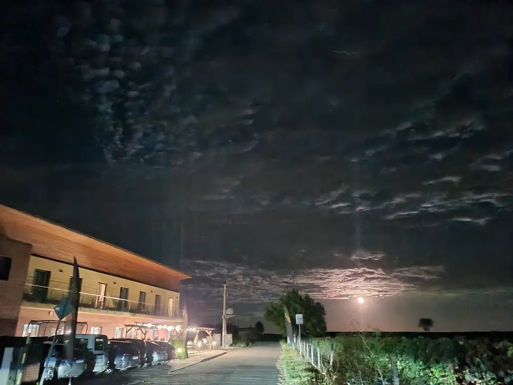 Vlada Nedved_Winery Petr Skoupil_Velké Bílovice_review