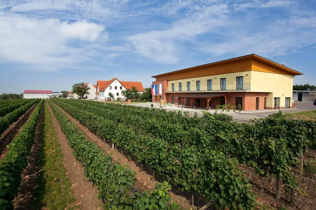 Winery Petr Skoupil_Velké Bílovice_slider_image_1