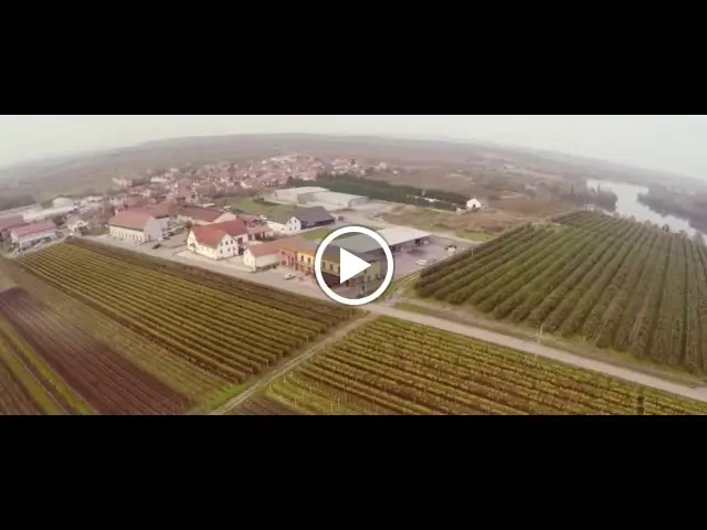 Winery Petr Skoupil_Velké Bílovice_slider_image_2