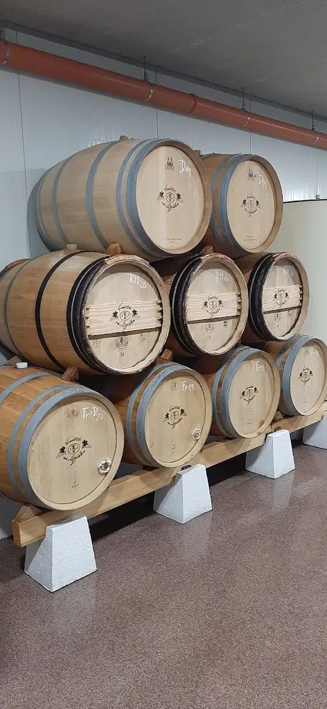 Vinařství na Špičáku_Velké Bílovice_slider_image_3