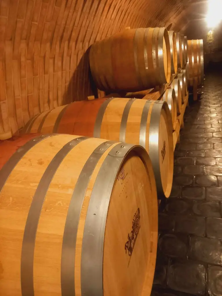 KAREL Just_Stanislav Mádl - Váš vinař_Velké Bílovice_review