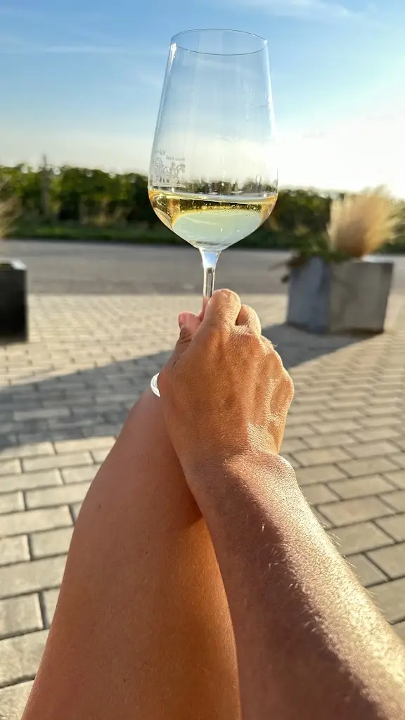 Mischa Sancheess_Stanislav Mádl - Váš vinař_Velké Bílovice_review