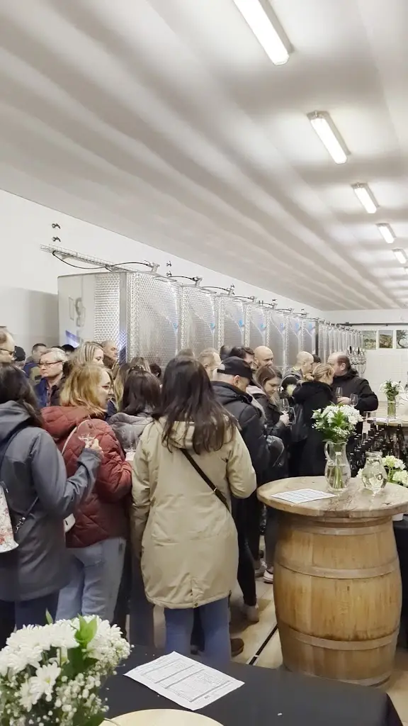 Stanislav Mádl - Váš vinař_Velké Bílovice_slider_image_2