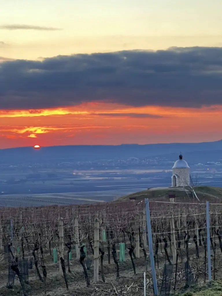 Libor Pojeta_Sklep u Balounů_Velké Bílovice_review