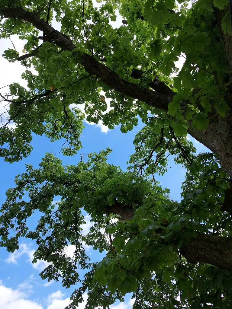 Enrico Palazzo_Restaurace U Pavlíčků_Veverská Bítýška_review