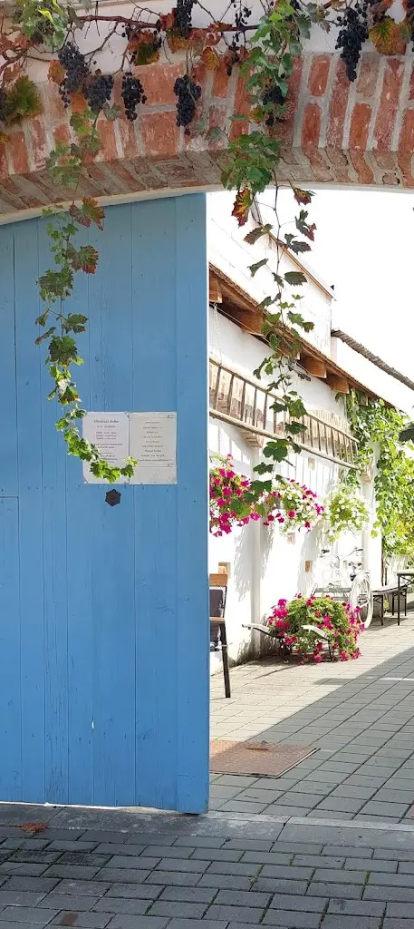 Mirza Hadžić_Restaurace Na 17ce_Vranovice_review