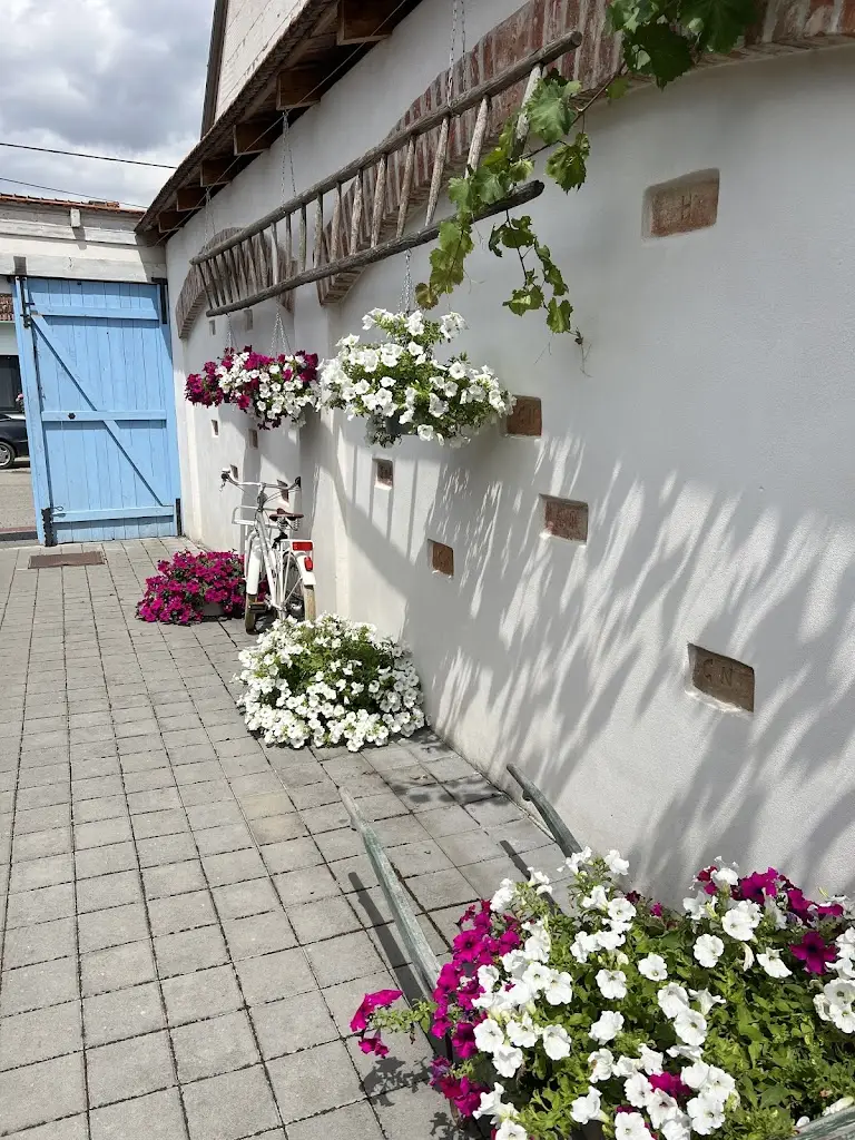 Tomas P_Restaurace Na 17ce_Vranovice_review