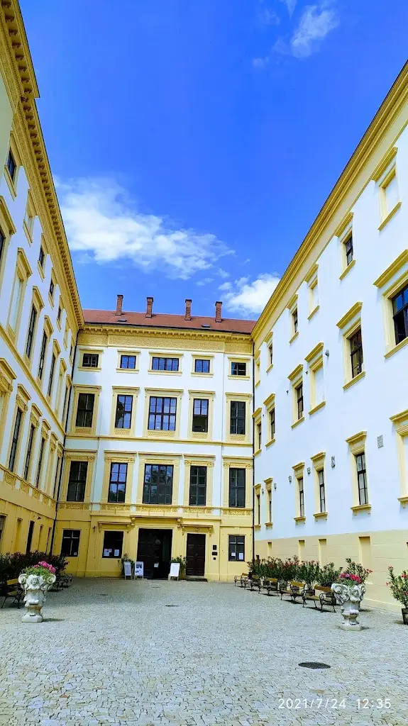 Jindřich S_Půjčovna lodí přístav Veselí nad Moravou_Veselí nad Moravou_review