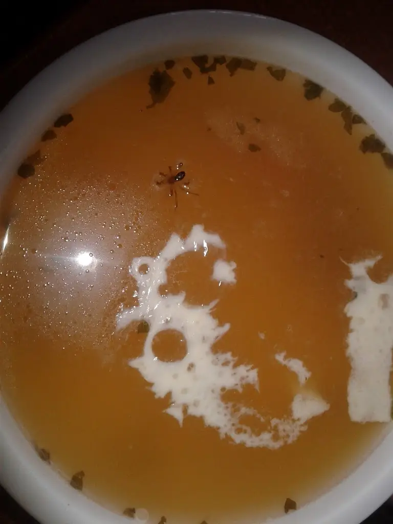 Menu_Venuše_Zaječí_immagine_3