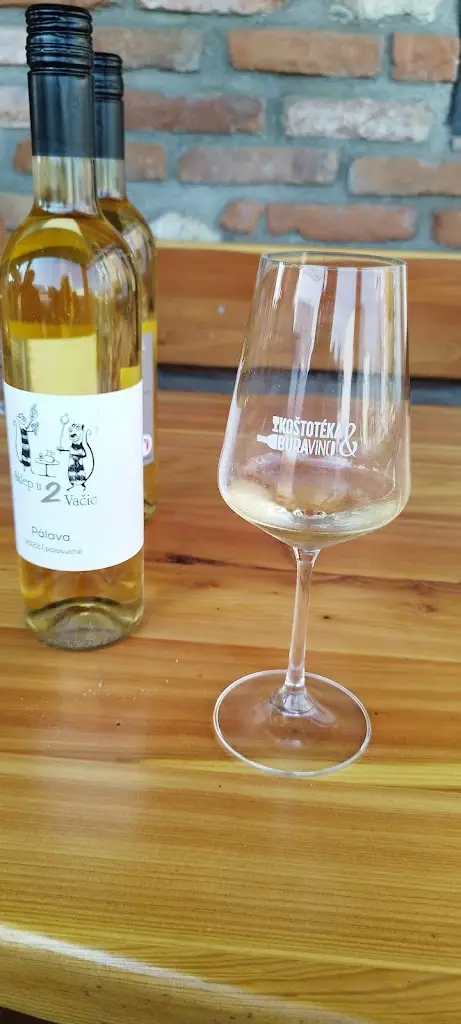 Mirek Matašovský_Koštotéka_Zaječí_recensione