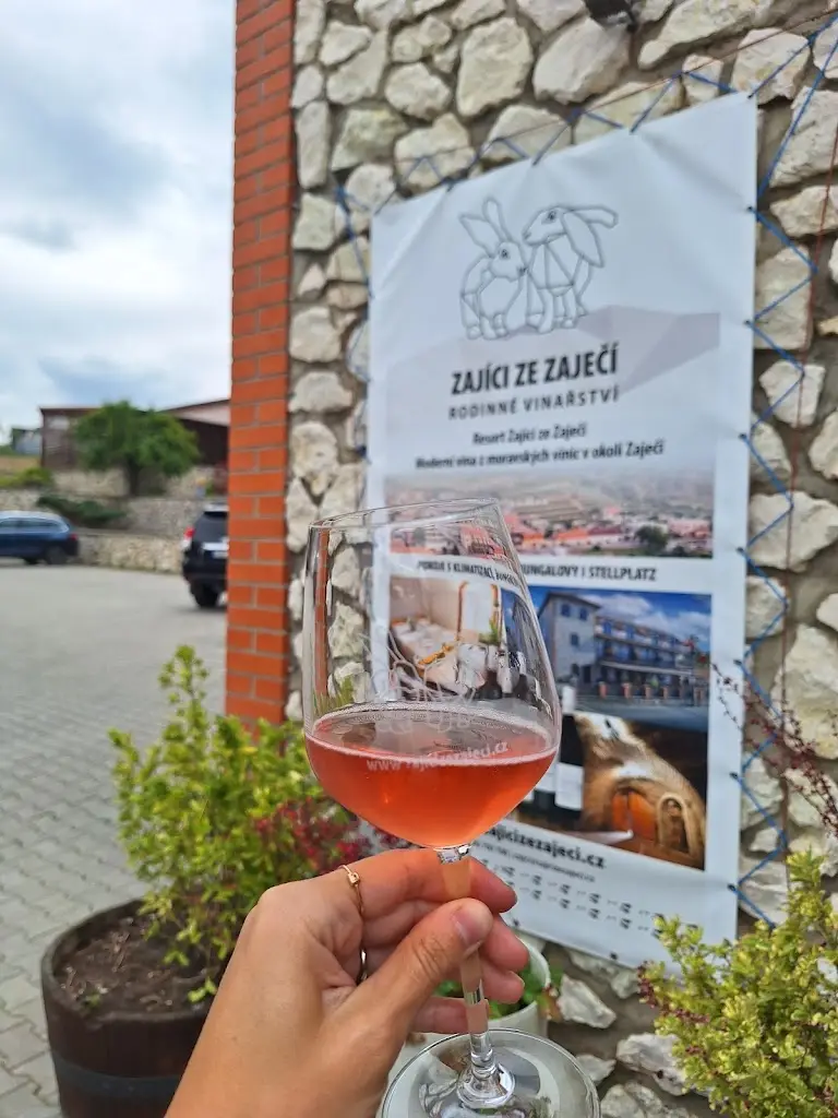 Dominika Sedláčková_Zajíci ze Zaječí_Zaječí_review