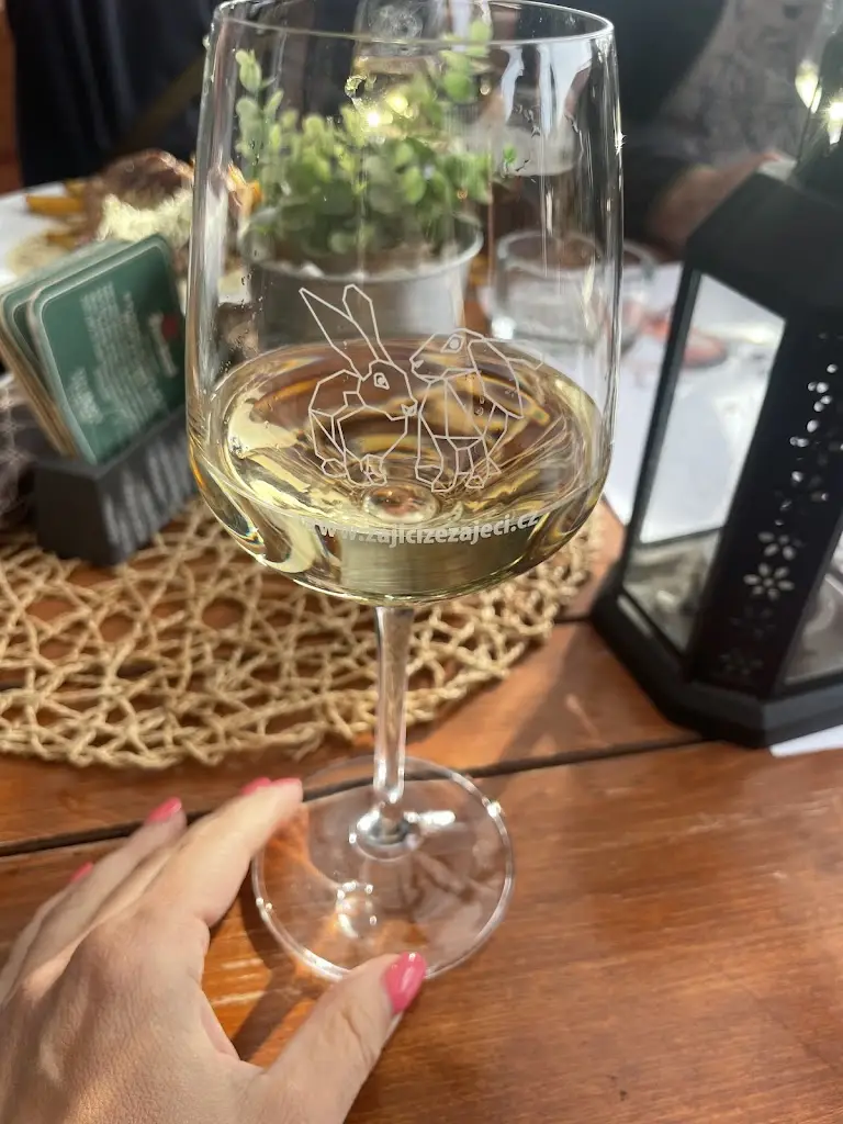 Jana B._Zajíci ze Zaječí_Zaječí_review