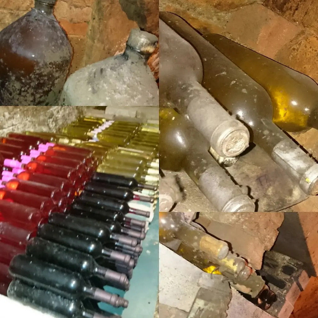 Monika Krčková_Ubytování U Krčků_Zaječí_review