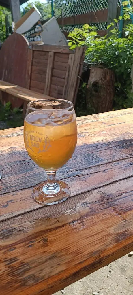 Menu_U Posledního Kelta_Zbraslav_immagine_5