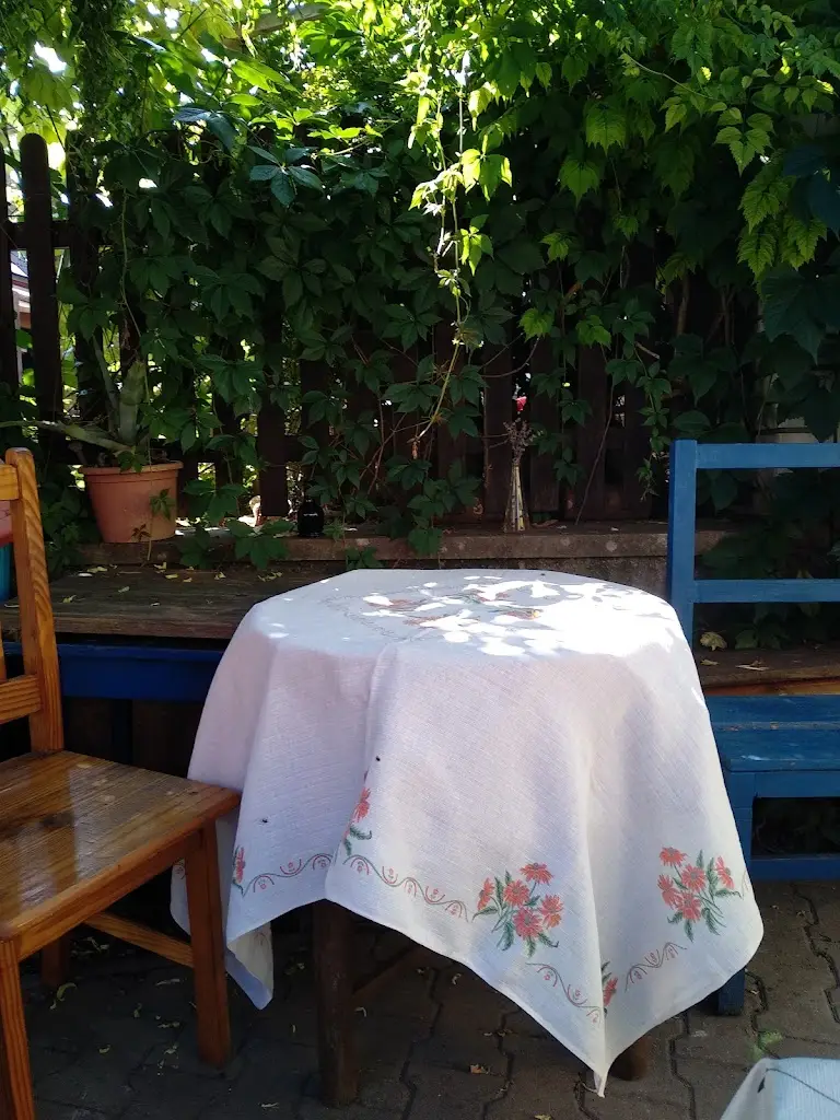 Jana Vebrova_Bistro Na Masně_Chýnov_review