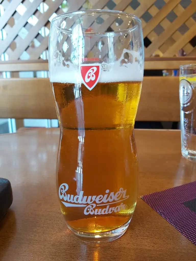 Menu_Restaurant im TravelFree_Aš_image_5