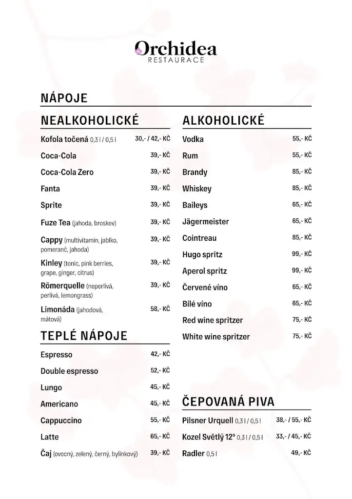 Menu_Restaurace Orchidea_Aš_immagine_4
