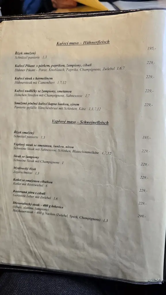 Menu_Restaurace -Pension Magdalena_Aš_image_4