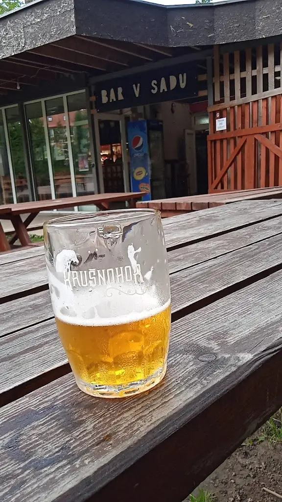 Menu_Park-Pub 'V Sadu'_Aš_image_5