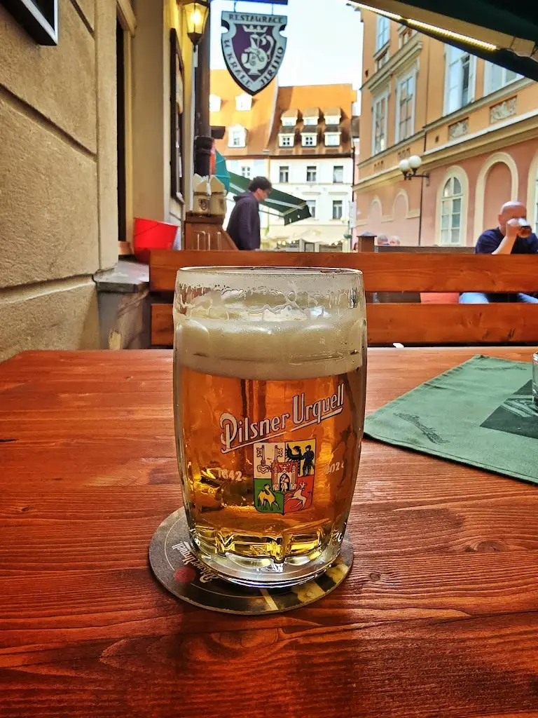 Ar_Restaurace U Krále Jiřího_Cheb_review
