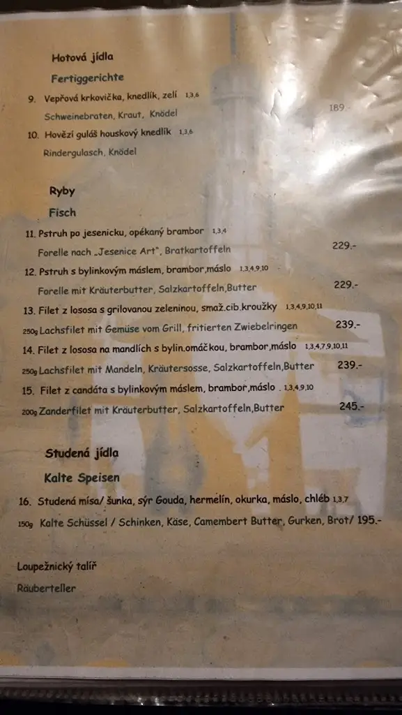 Menu_Restaurant Hannibal_Cheb_image_2