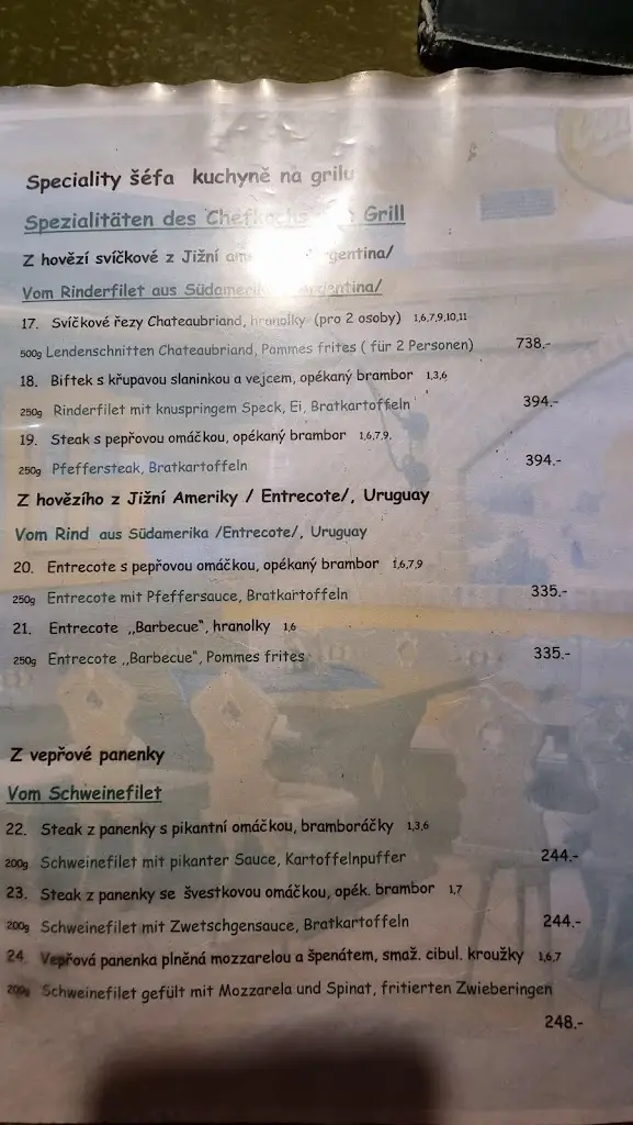 Menu_Restaurant Hannibal_Cheb_image_3