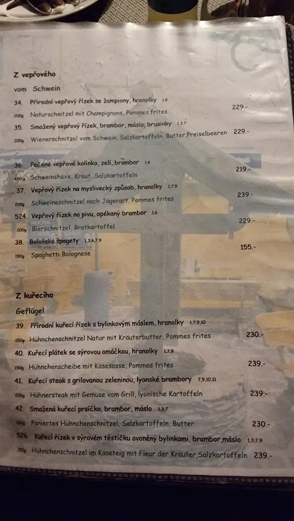 Menu_Restaurant Hannibal_Cheb_image_4