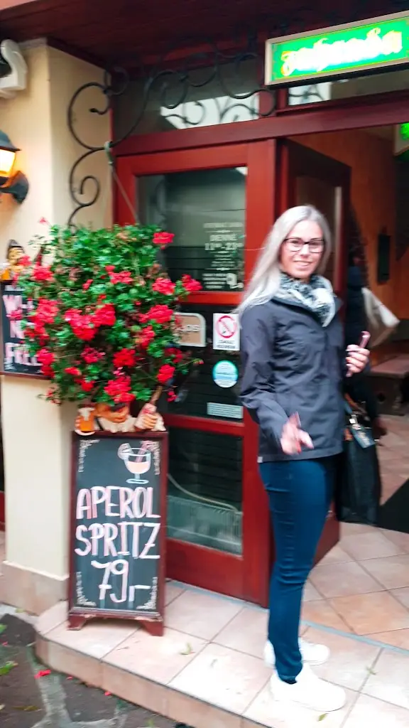 Restaurant Hannibal_Cheb_slider_image_2