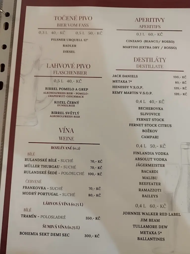 Menu_Euro-Asia restaurant, Cheb_Cheb_image_1