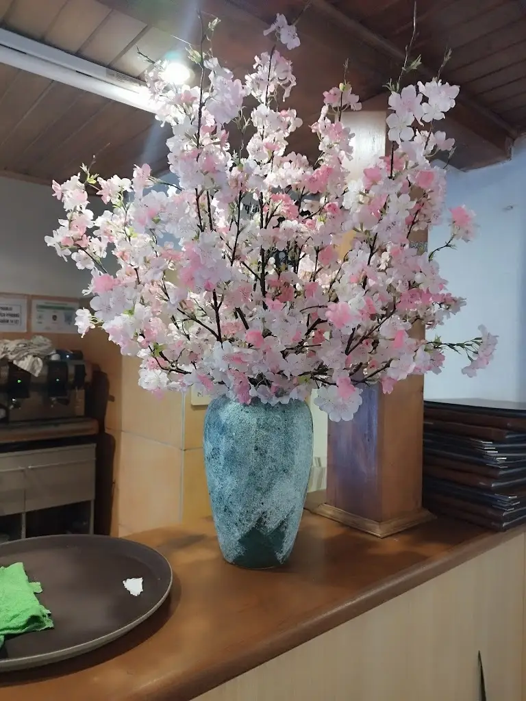 Jarmila_Euro-Asia restaurant, Cheb_Cheb_review