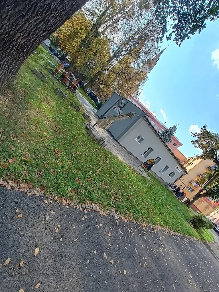 Michal Mares_Bistro Monaco_Cheb_review