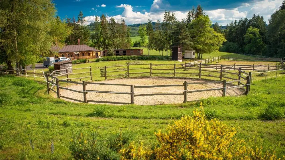 Ranch Calypso ristorante a Dolní Žandov