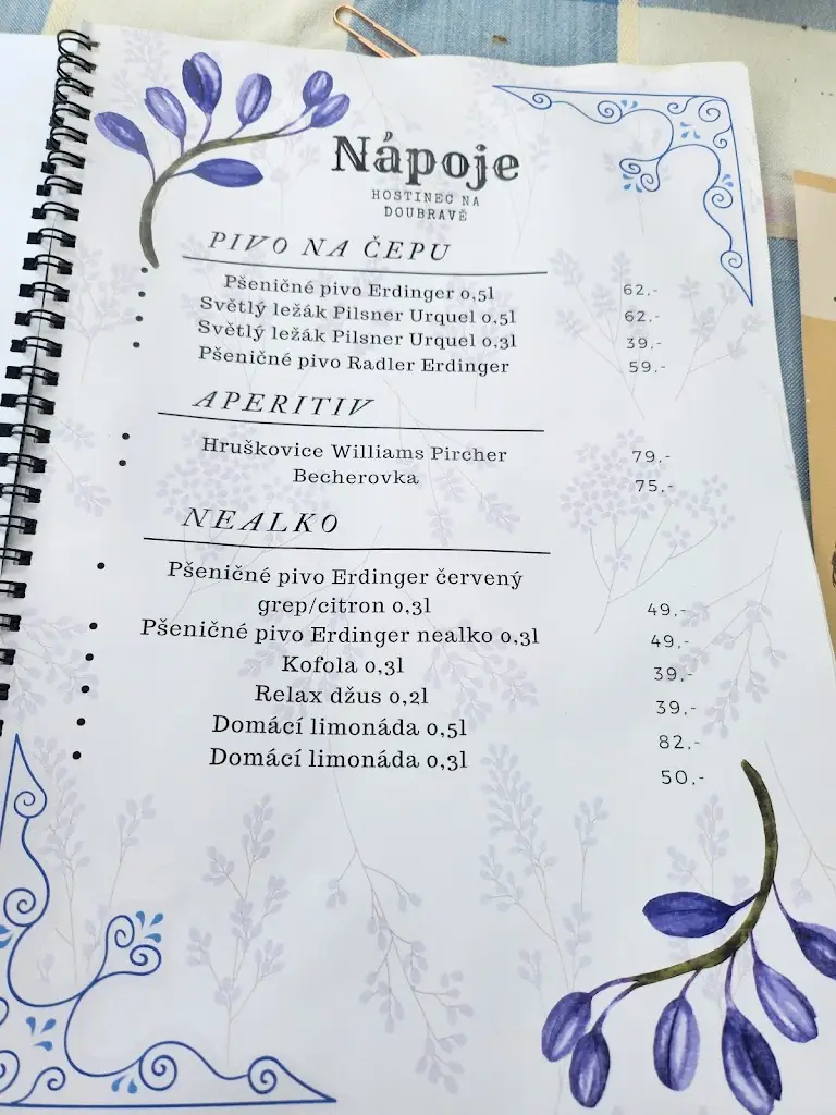 Menu_Hostinec na Doubravě_Dolní Žandov_immagine_2