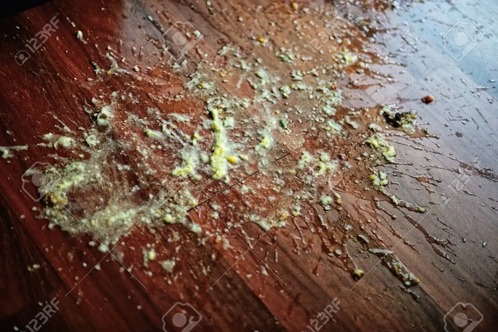 Stanly Stan_Jankovna u bazénu_Chodov_review