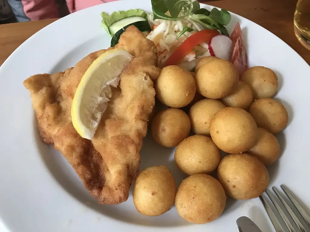 Jiri Svoboda_Restaurace u Modrého Slona_Františkovy Lázně_review