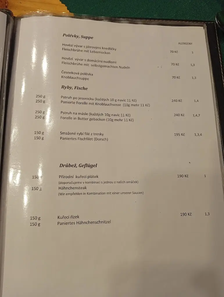 Menu_Penzion Štekrův Mlýn_Františkovy Lázně_image_3