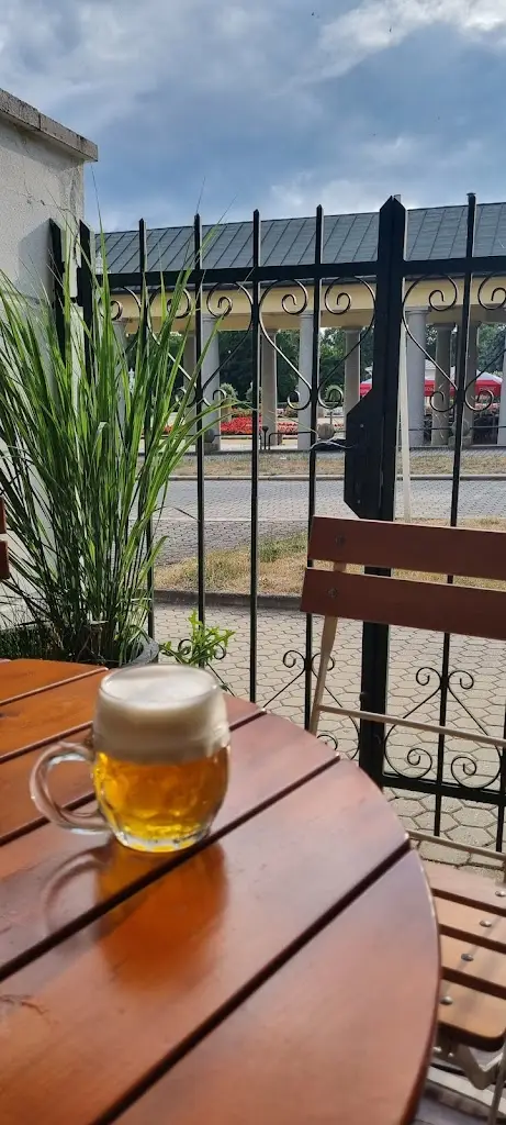 Jiří Bašta_Sámoška_Františkovy Lázně_recensione