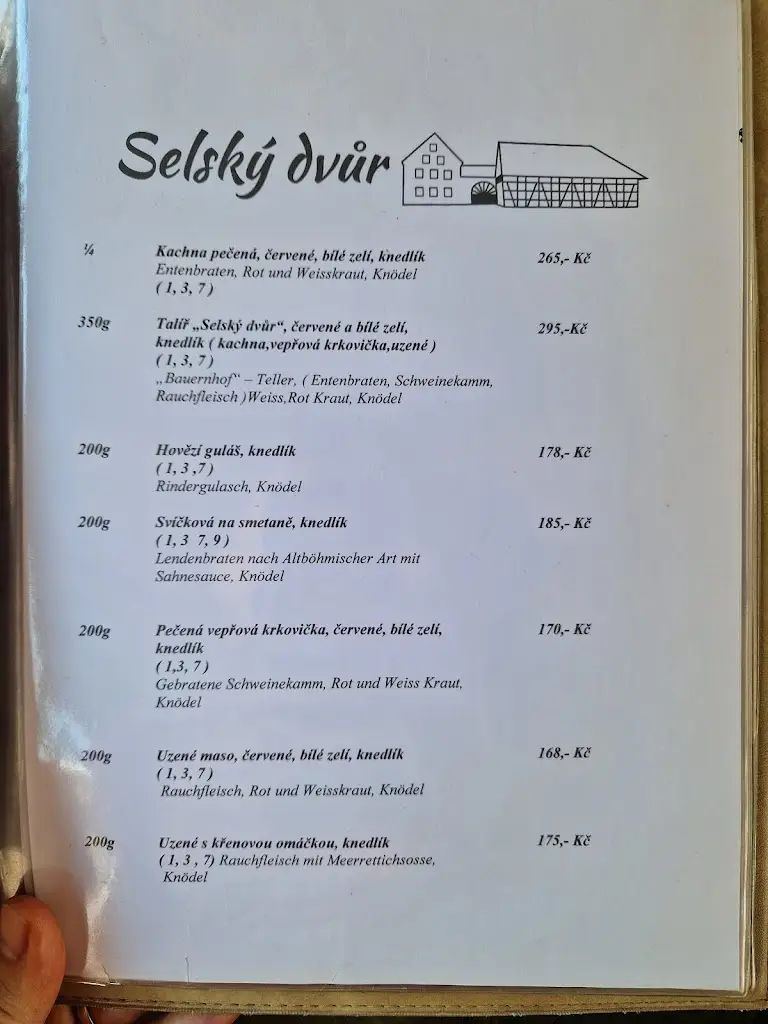 Menu_Restaurace / Penzion - Selský dvůr_Františkovy Lázně_image_4