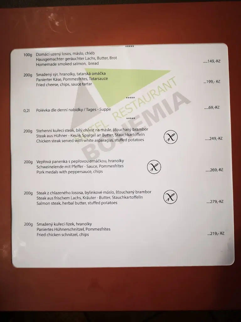 Menu_Restaurace Bohemia 1_Františkovy Lázně_immagine_2