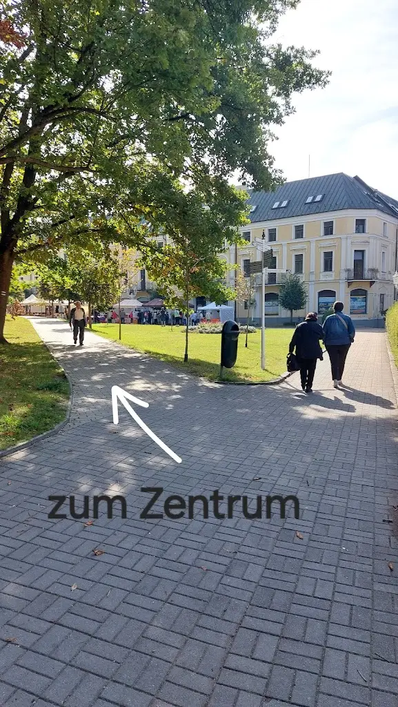 THE MARKUS_Hotel REZA with balneotherapy_Františkovy Lázně_review