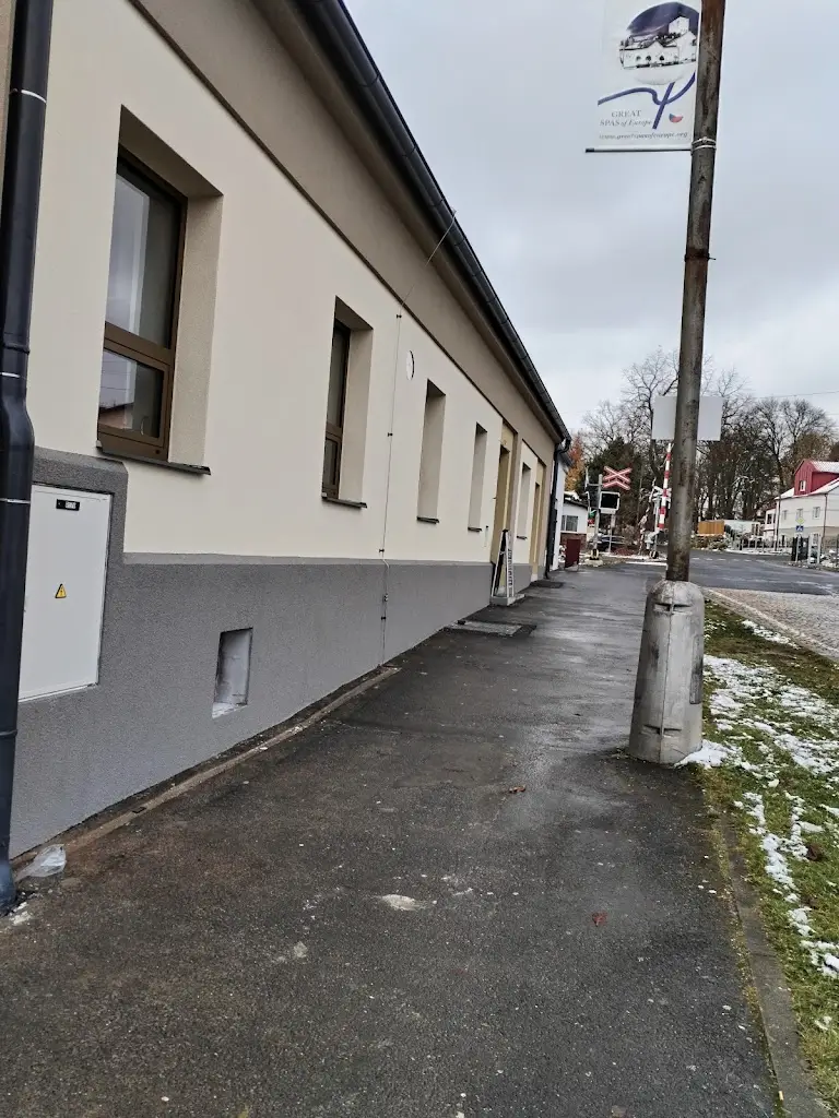 František Lomický_Bílá Labuť_Františkovy Lázně_review