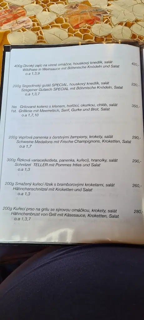 Menu_Goldene Elsa_Hazlov_image_1