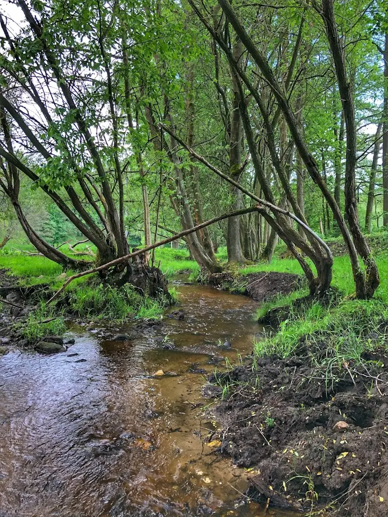 Bistro Domeček_Hazlov_slider_image_2