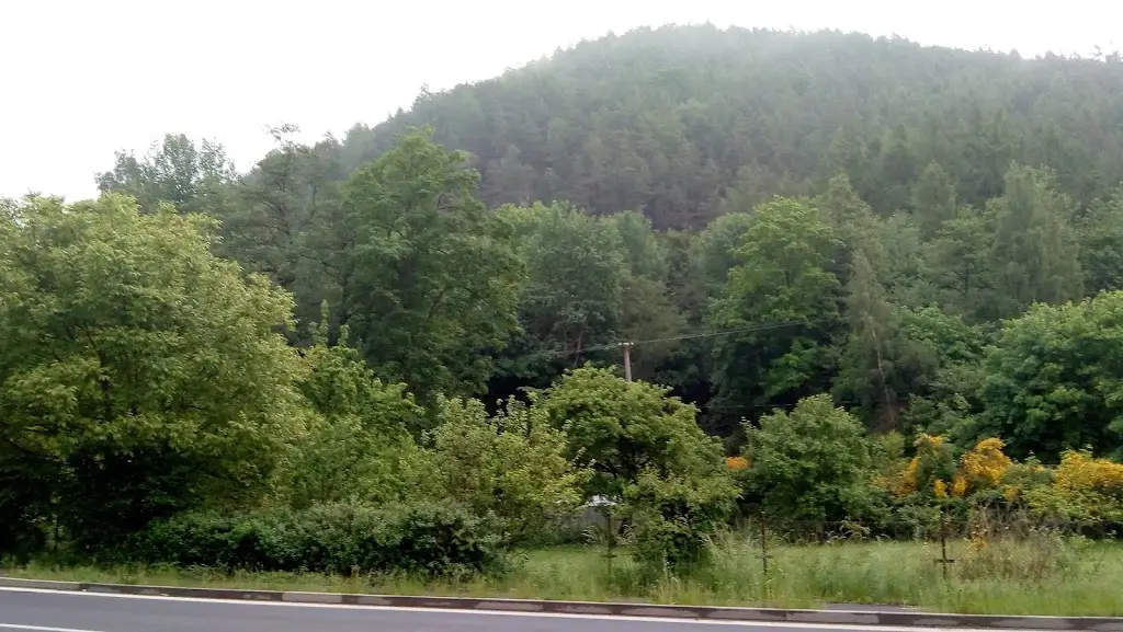 David Zier_Hospoda Rafanda_Hroznětín_review