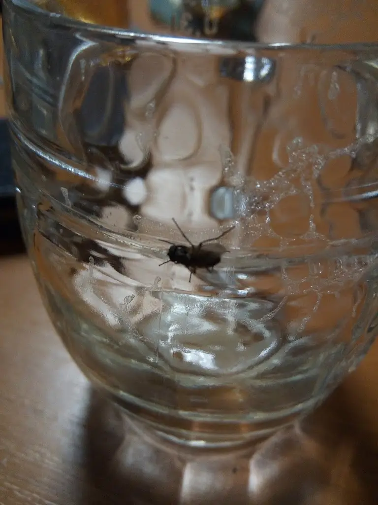 Menu_hospoda Na hřišti_Hroznětín_image_2