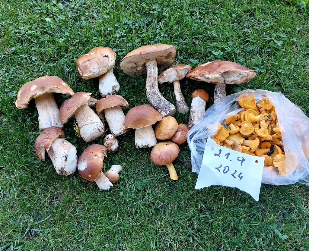 hospoda Na hřišti_Hroznětín_slider_image_3