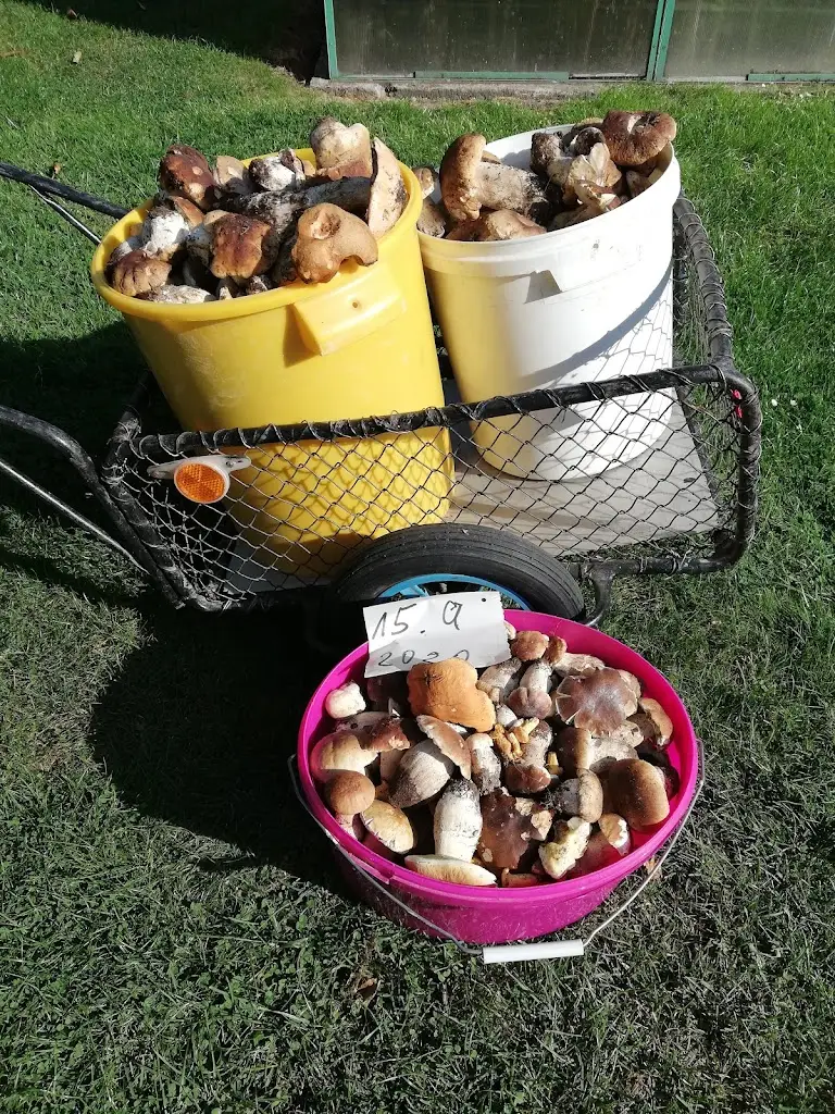 Menu_restaurace Kino_Hroznětín_immagine_3